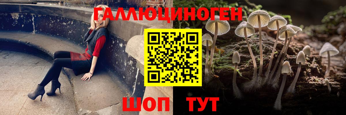 Псилоцибиновые грибы Magic Shrooms  Вход с VPN  Хабаровск  Псилоцибиновые грибы GOLDEN TEACHER 
